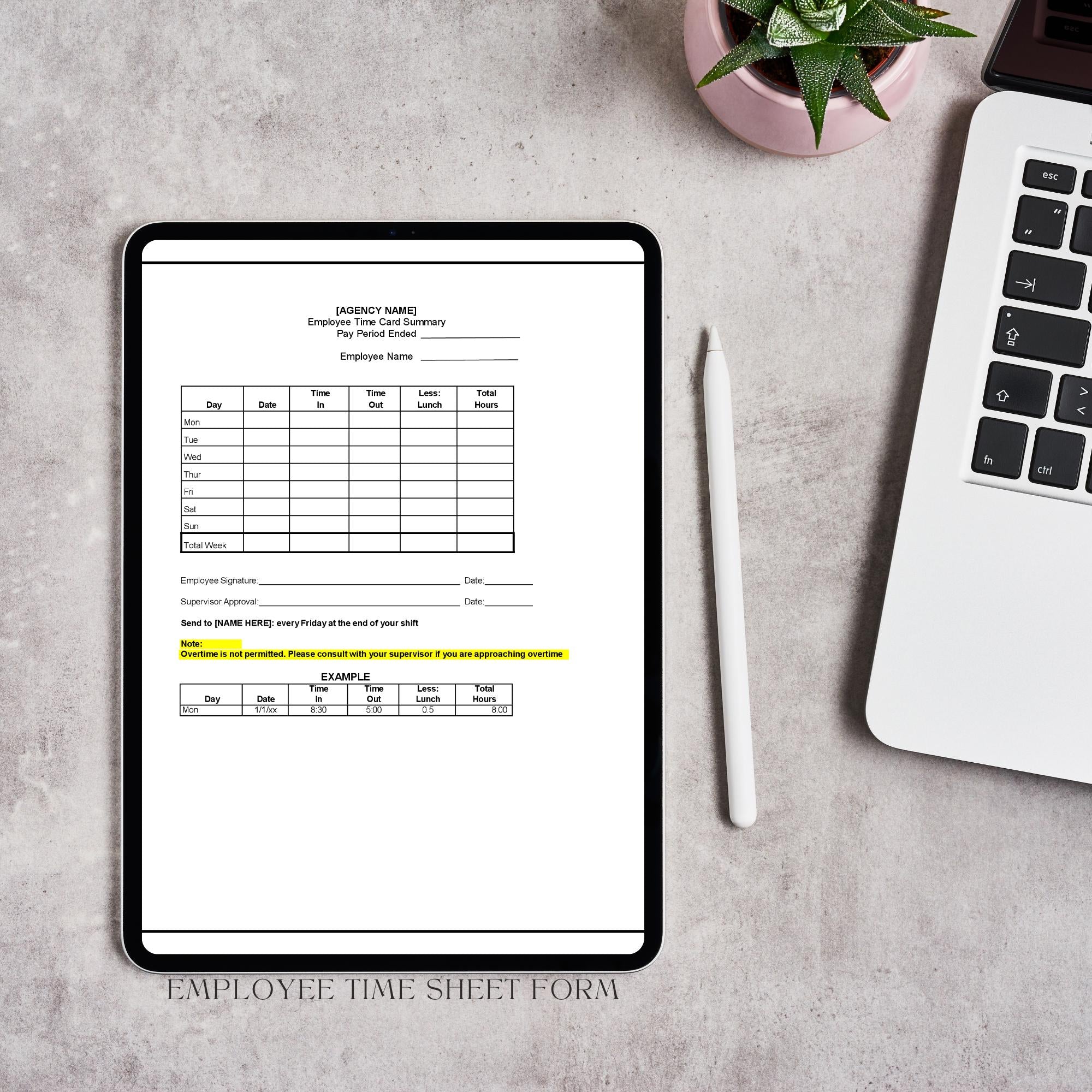 Employee Time Sheet Form, Home Care Staff Hours Template, Editable Work Log